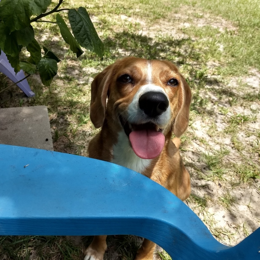 Meet your Posher, Cassandra